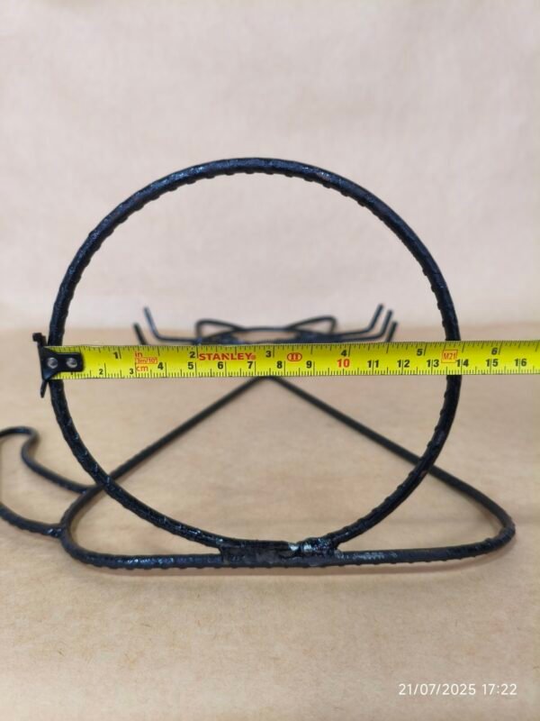 IMG_20250721_172220 Gato porta maceta