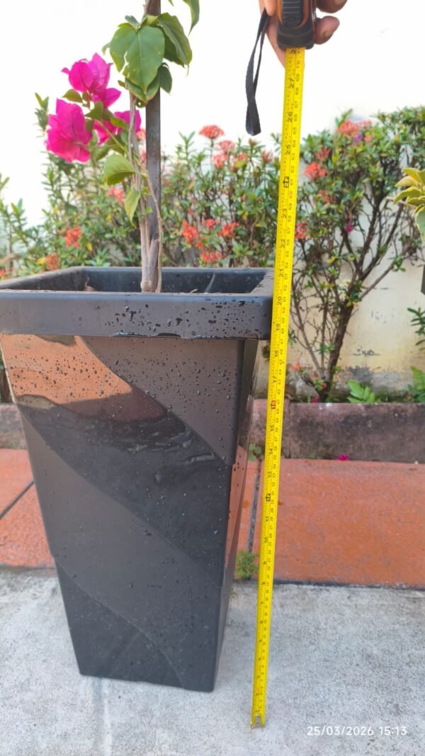 WhatsApp Image 2026-04-04 at 6.37.42 PM VERANERAS O BUGANVILIAS